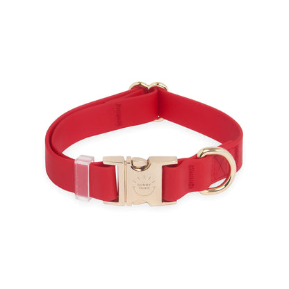 Adjustable Waterproof Dog Collar with Quick Release Buckle