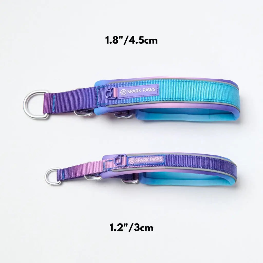 Spark Paws Martingale Dog Collar – Cushioned Slip-On Training Collar for Medium and Large Dogs, Heavy Duty and Safety-Tested No-Buckle Design