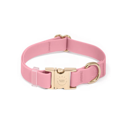 Adjustable Waterproof Dog Collar with Quick Release Buckle