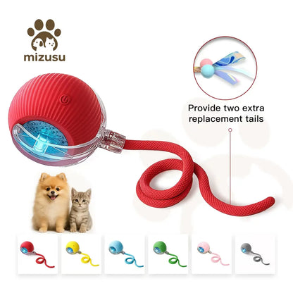 Mizusu Interactive Teaser Toy for Cats and Dogs with Two Additional Tails, Rolling Ball Toy for Kittens, Pet Supplies, Dog and Cat Accessories