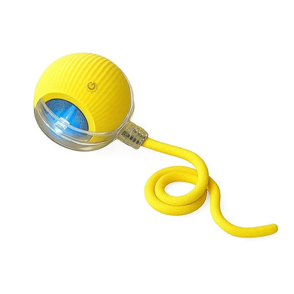 Mizusu Interactive Teaser Toy for Cats and Dogs with Two Additional Tails, Rolling Ball Toy for Kittens, Pet Supplies, Dog and Cat Accessories