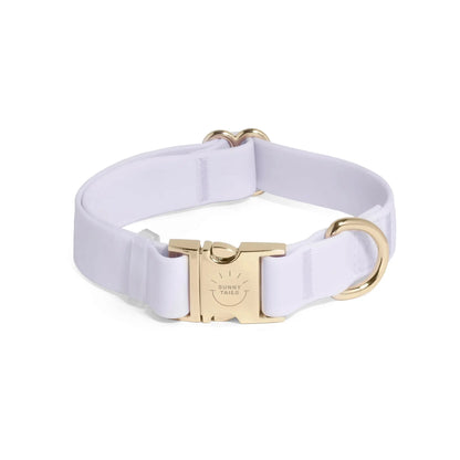 Adjustable Waterproof Dog Collar with Quick Release Buckle