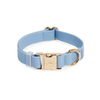 Adjustable Waterproof Dog Collar with Quick Release Buckle