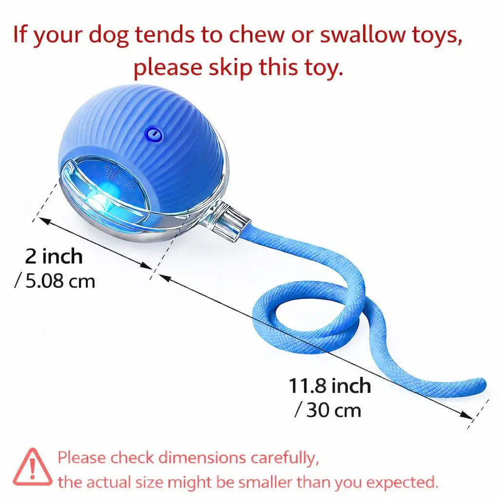 Mizusu Interactive Teaser Toy for Cats and Dogs with Two Additional Tails, Rolling Ball Toy for Kittens, Pet Supplies, Dog and Cat Accessories
