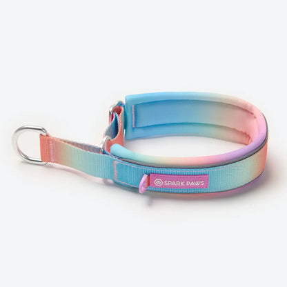 Spark Paws Martingale Dog Collar – Cushioned Slip-On Training Collar for Medium and Large Dogs, Heavy Duty and Safety-Tested No-Buckle Design