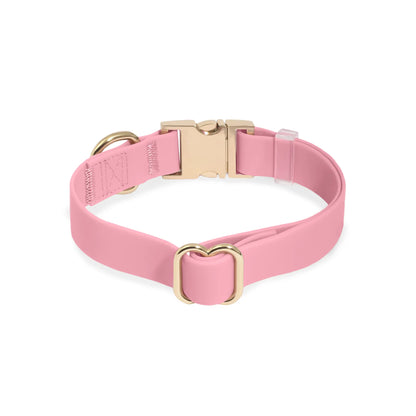 Adjustable Waterproof Dog Collar with Quick Release Buckle