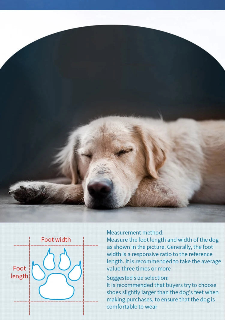 Juego de 4 Zapatos Impermeables para Perros, Botas Antideslizantes para Lluvia, Calzado para Perros Pequeños, Cachorros, Botines para Mascotas, Accesorios para Patas de Perro