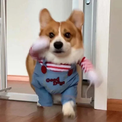 Conjunto divertido de Festival para mascotas, disfraces de Halloween para perros y gatos, novedad, ropa de Cosplay ajustable para gatos, perros medianos y grandes, Bulldog, Pug