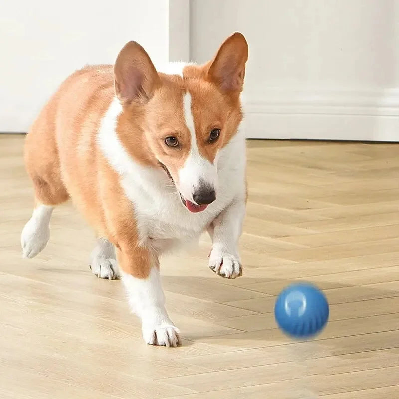 Pelota de juguete inteligente para perros, juguete interactivo electrónico para mascotas, pelota móvil USB, rebote en movimiento automático para cachorros, regalo de cumpleaños, producto para gatos