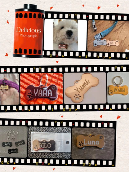 Etiqueta de identificación de mascota, llavero grabado gratis personalizado para gato, cachorro, perro, llavero colgante, pata de hueso, accesorios para mascotas