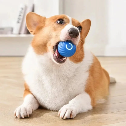 Pelota de juguete inteligente para perros, juguete interactivo electrónico para mascotas, pelota móvil USB, rebote en movimiento automático para cachorros, regalo de cumpleaños, producto para gatos