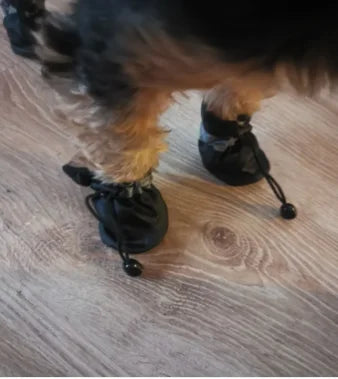Juego de 4 Zapatos Impermeables para Perros, Botas Antideslizantes para Lluvia, Calzado para Perros Pequeños, Cachorros, Botines para Mascotas, Accesorios para Patas de Perro