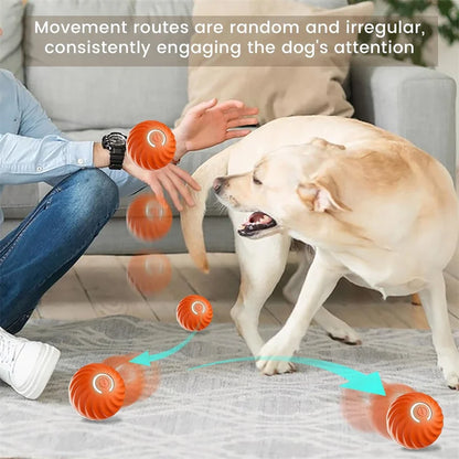 Pelota de juguete inteligente para perros, juguete interactivo electrónico para mascotas, pelota móvil USB, rebote en movimiento automático para cachorros, regalo de cumpleaños, producto para gatos