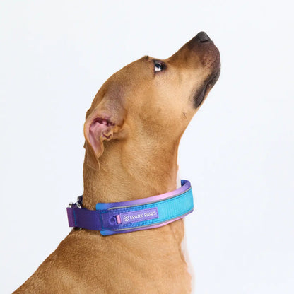 Spark Paws Martingale Dog Collar – Cushioned Slip-On Training Collar for Medium and Large Dogs, Heavy Duty and Safety-Tested No-Buckle Design