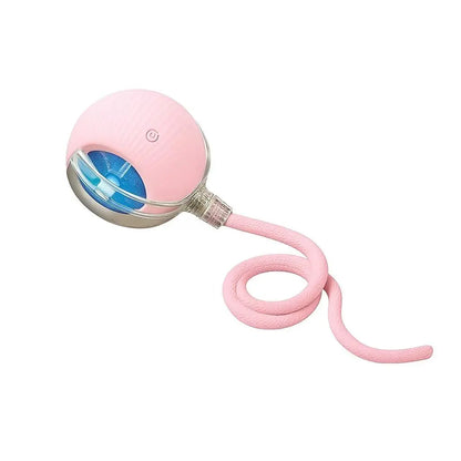 Mizusu Interactive Teaser Toy for Cats and Dogs with Two Additional Tails, Rolling Ball Toy for Kittens, Pet Supplies, Dog and Cat Accessories