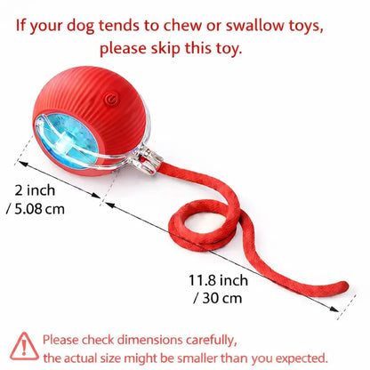 Mizusu Interactive Teaser Toy for Cats and Dogs with Two Additional Tails, Rolling Ball Toy for Kittens, Pet Supplies, Dog and Cat Accessories