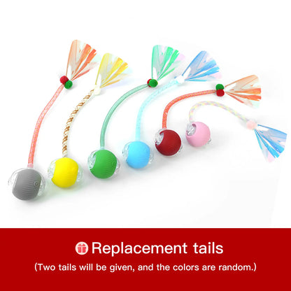 Mizusu Interactive Teaser Toy for Cats and Dogs with Two Additional Tails, Rolling Ball Toy for Kittens, Pet Supplies, Dog and Cat Accessories