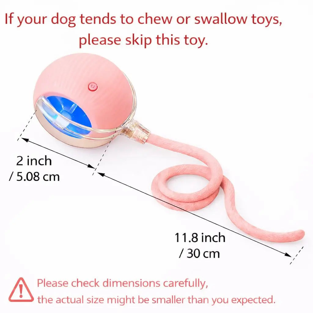 Mizusu Interactive Teaser Toy for Cats and Dogs with Two Additional Tails, Rolling Ball Toy for Kittens, Pet Supplies, Dog and Cat Accessories